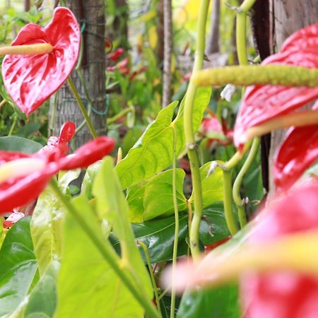 La Kaz Fleur Vanille Saint Benoit Ngoại thất bức ảnh